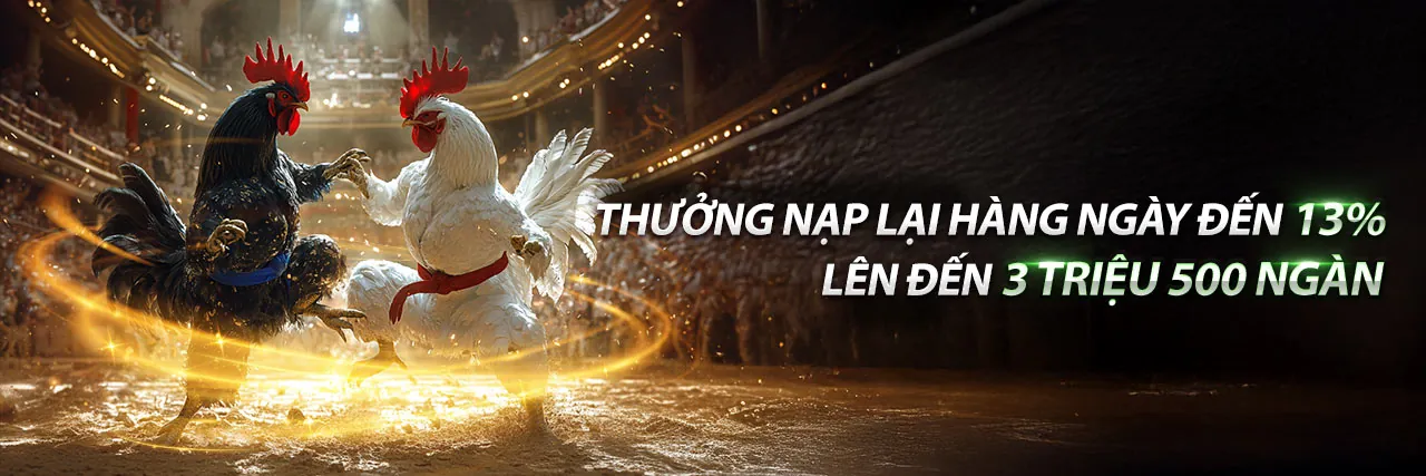 Hệ sinh thái giải trí đa dạng của win456 app